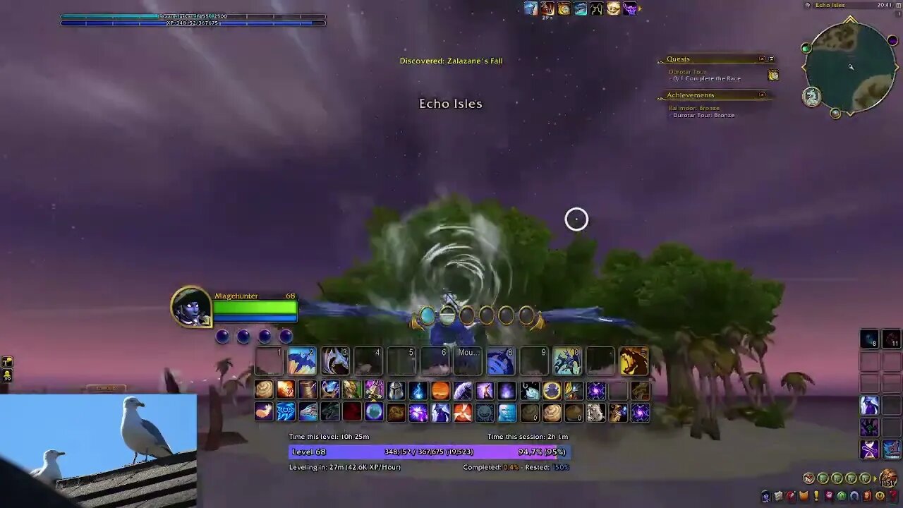 WoW DF:- Dragon Racing Normal - Durotar Tour (Silver Attempt)