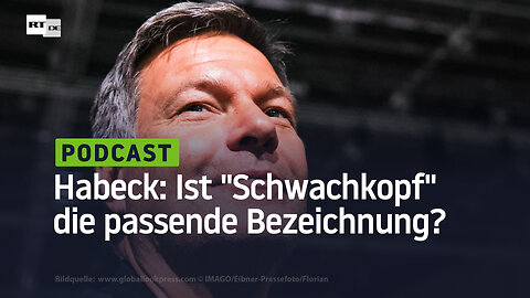 Habeck: Ist "Schwachkopf" die passende Bezeichnung?