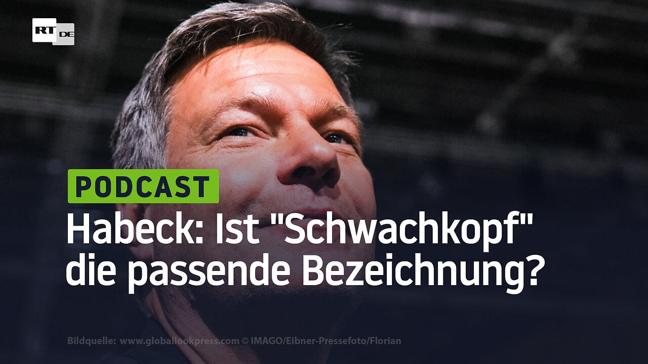 Habeck: Ist "Schwachkopf" die passende Bezeichnung?