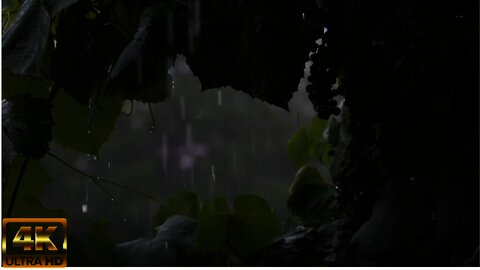Rain On Leaves Sounds For Sleeping 3 Hours Of Soothing And Relaxing Rain Nature Sounds