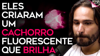 A NOVA DESCOBERTA DOS CIENTISTAS
