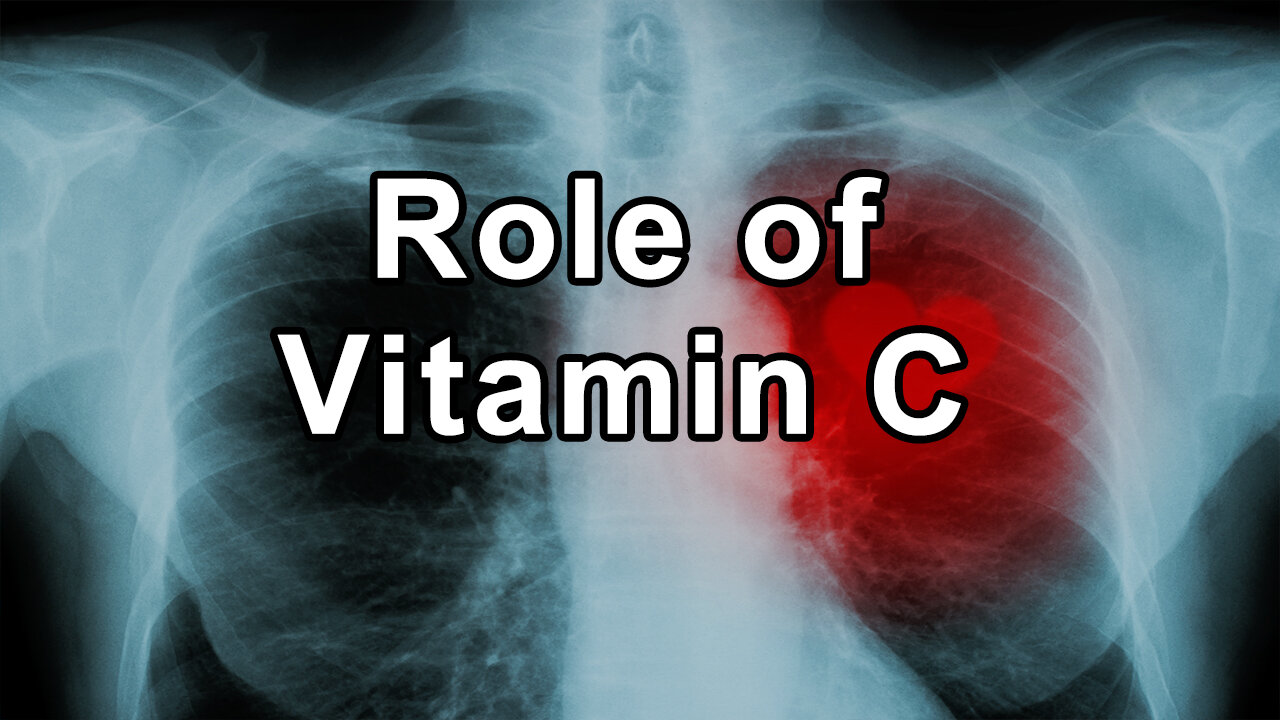 Characteristics and Functions of Antioxidants and the Role of Vitamin C