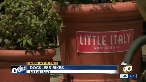 Little Italy littered by dockless bikes