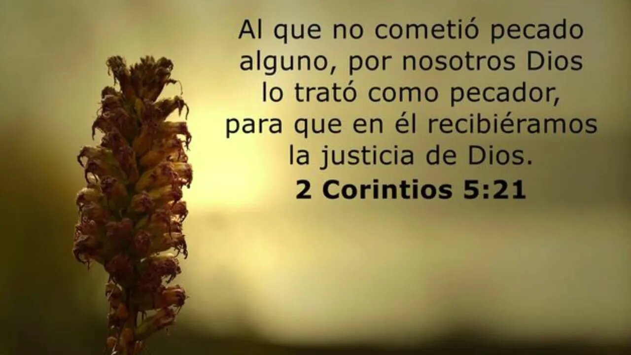 Al que no conoció pecado #devocional #devocionaldiario #jesuscristo