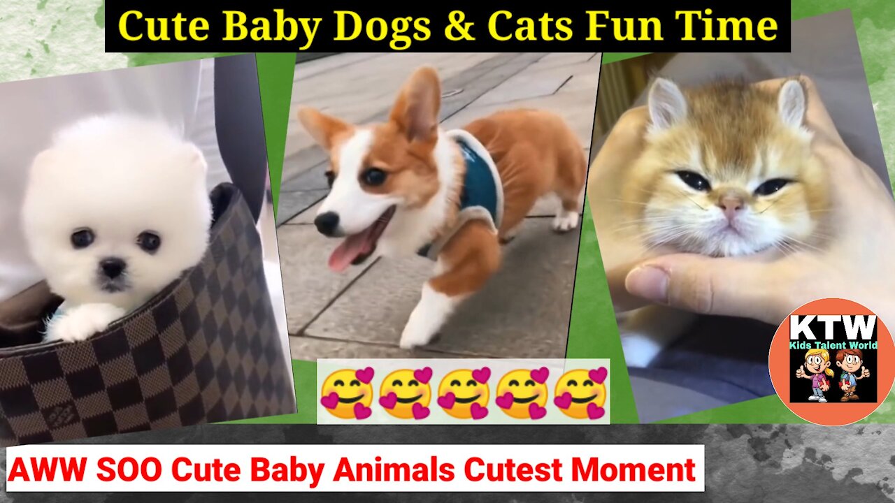 OMG! Soo Cute baby animals Cutest moment Compilation Part - 1 ♥ Best Funny Pets Videos | KTW