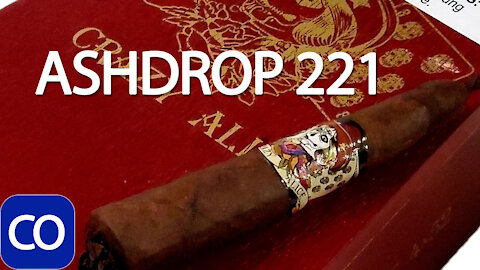 CIGARANDPIPES CO ASHDROP 221