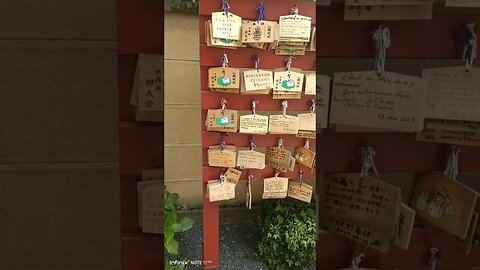 #etsukojunio #etsukofans #fransiscaofficial #teamfransisca #沉连清 #fransisca #fransiscametaworld