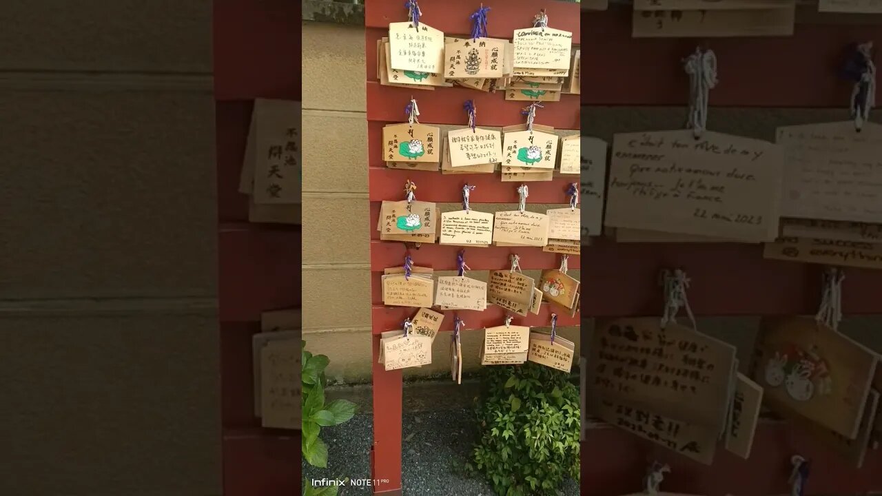 #etsukojunio #etsukofans #fransiscaofficial #teamfransisca #沉连清 #fransisca #fransiscametaworld