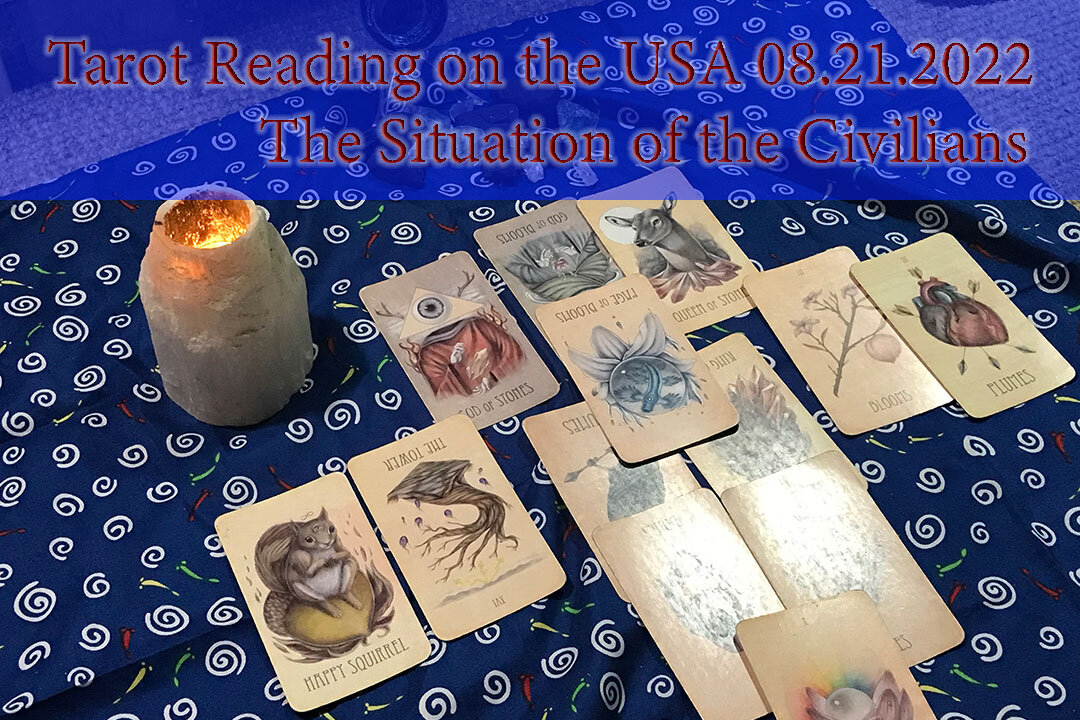 Tarot Reading on the American Civilian Situation