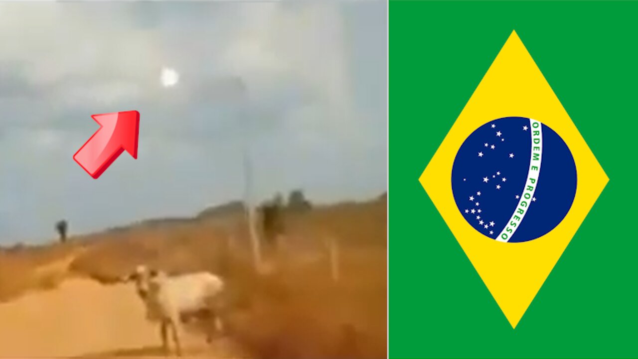 Light bodies are targeting cows! Brazil August 26 2019 [Space]