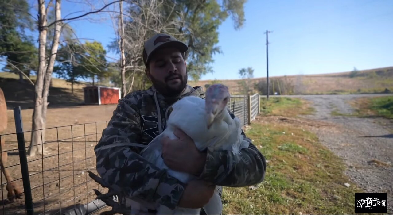 We’ve got too many farm animals. It’s time for a catch, clean, and cook.