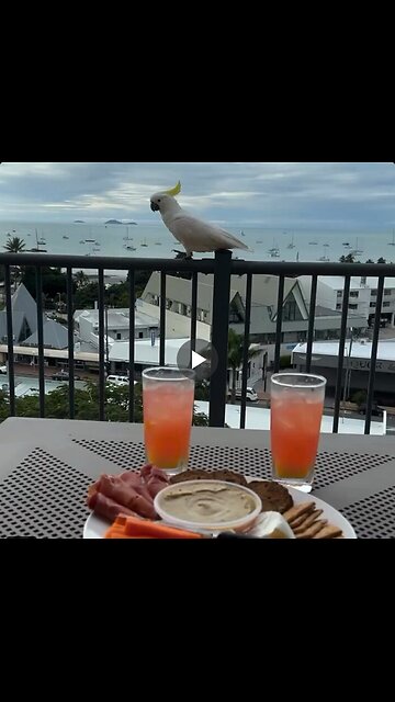 When the government starts handing out cash