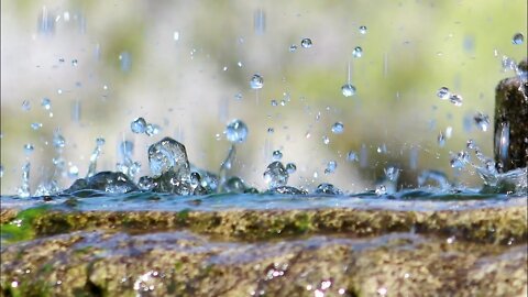 8 Hours of White noise.Rain Falling In Forest. To good sleep.Meditation.Relaxation.