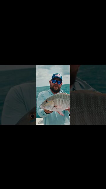 Walkers Cay, Teaser #shorts