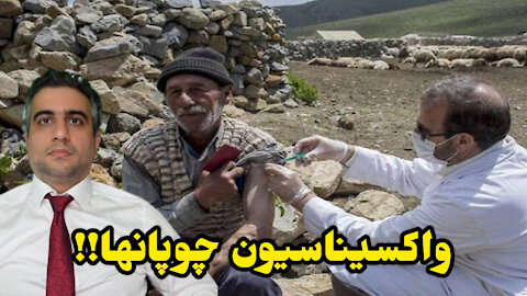 واکسیناسیون چوپانها