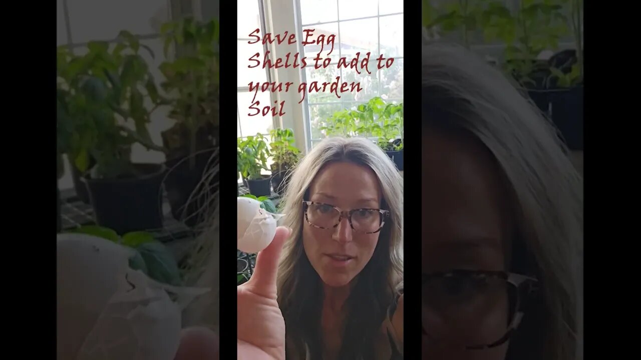 hack to add calcium to soil #shortsvideo #organic #socialmedia #tips #social @talkwitjsally