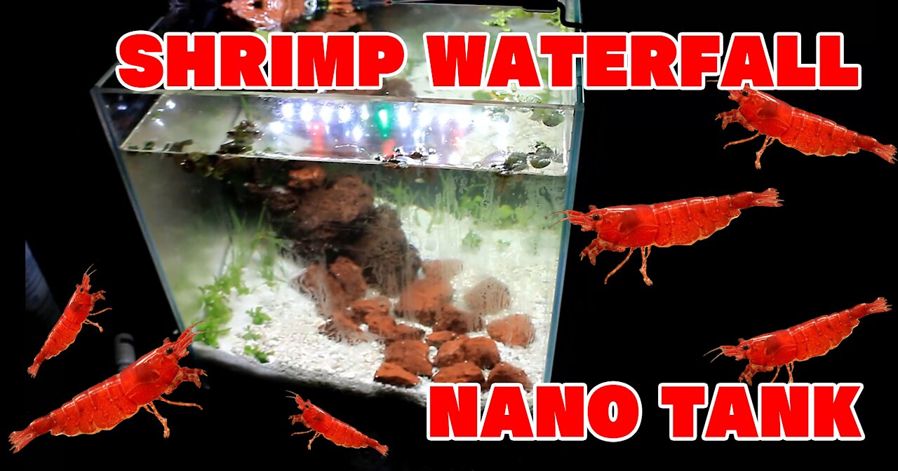 DIY Waterfall Nano Shrimp Tank