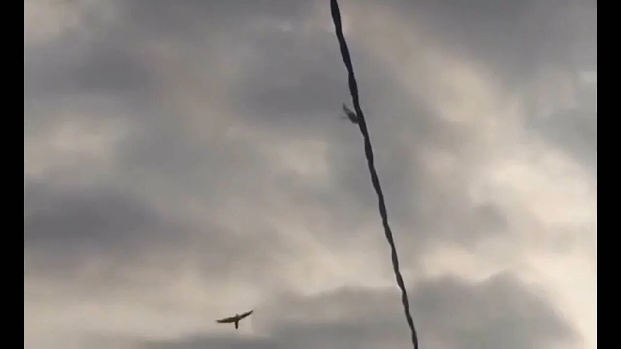 Helicopter Taking & Returning Fire From Mencho’s Sicarios Code Black