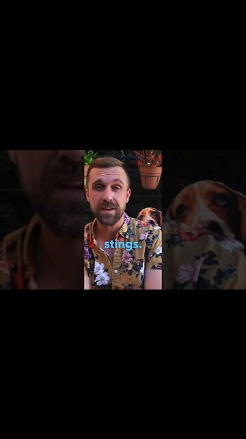 It STINGS 🐝 #cigar #cigars #gentleman #luxury