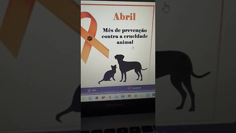 Abril mês de prevenção contra a crueldade animal, ok nos outros meses pode? tem que ser todo dia!!