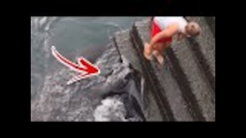 Little Boy Gets Too Close to the Water, Sea Creature Brushes Against His Feet