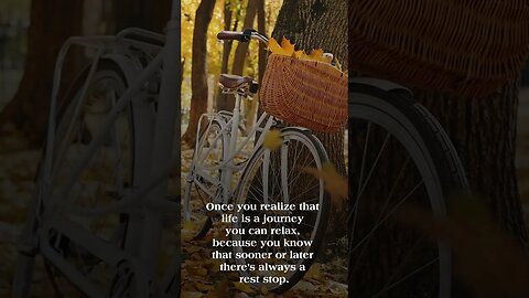Discover the Hidden Power of Leaves and Music on Your Cycling Journey! #shorts