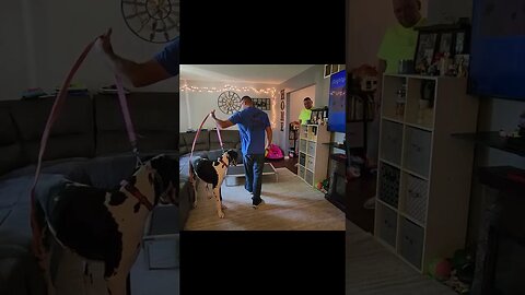 Free access toys