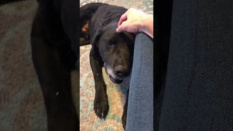 Relief After Being Adopted
