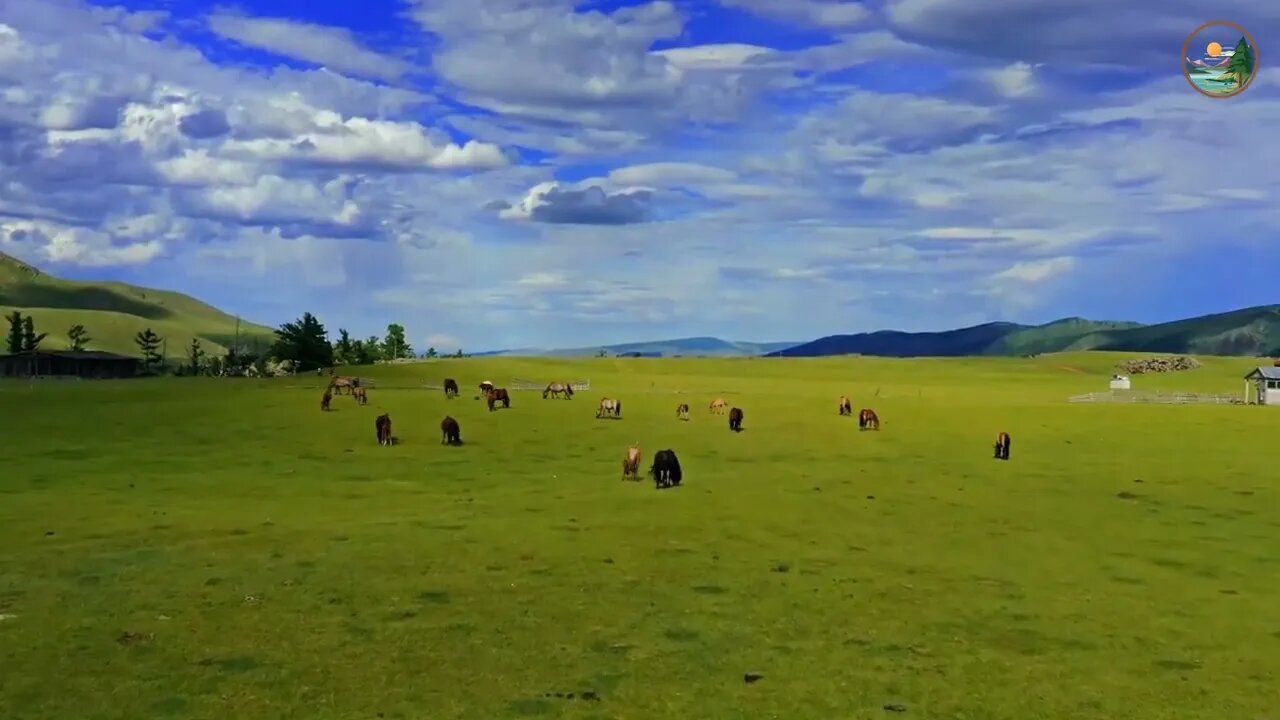 The beautiful grasslands of Mongolia 3