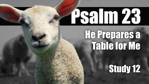 12 PS 23:5 He Prepares a Table For Me