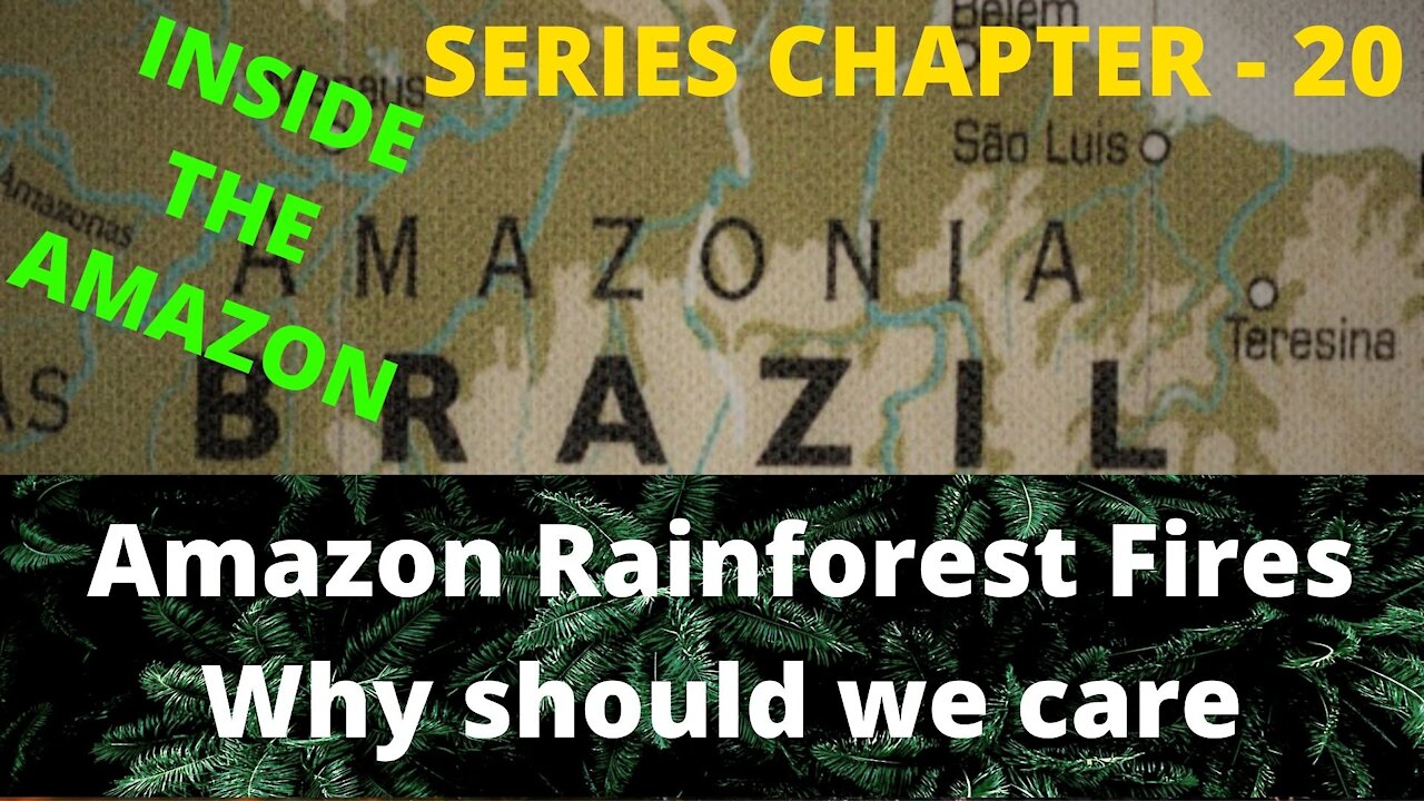 Amazon Rainforest Fires Why should we care