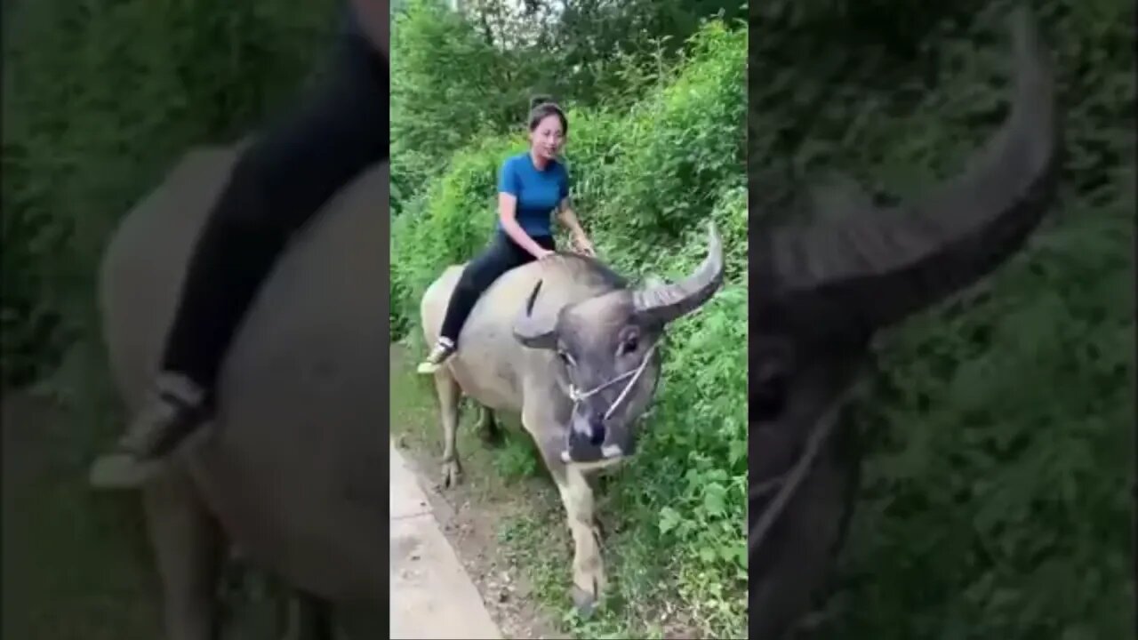 Real Countryside Chinese Girl Has A hard Life Working The Land