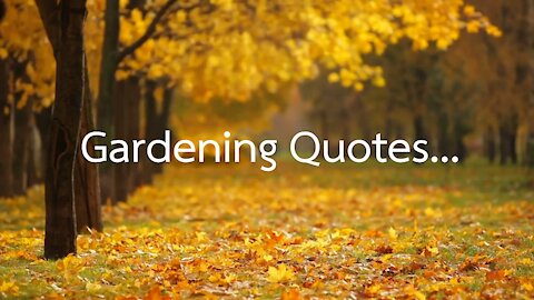 Gardening Quotes