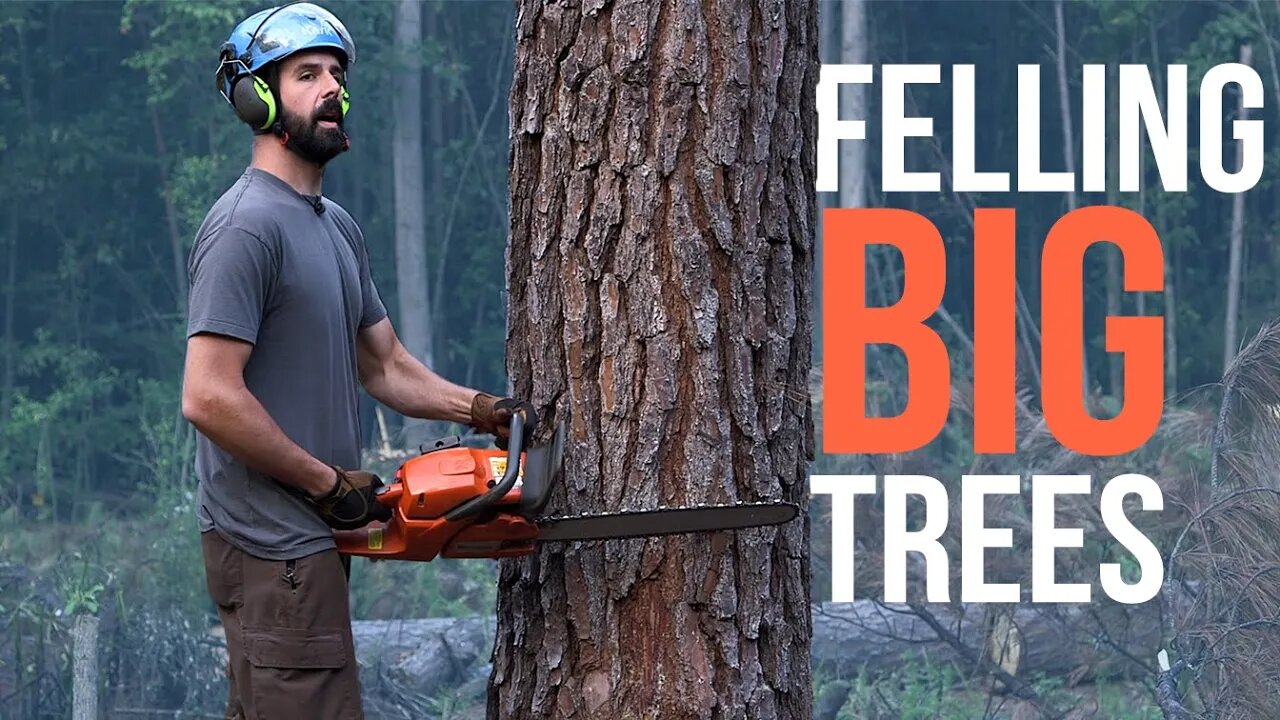 Felling a Big Tree | Forest to Farm