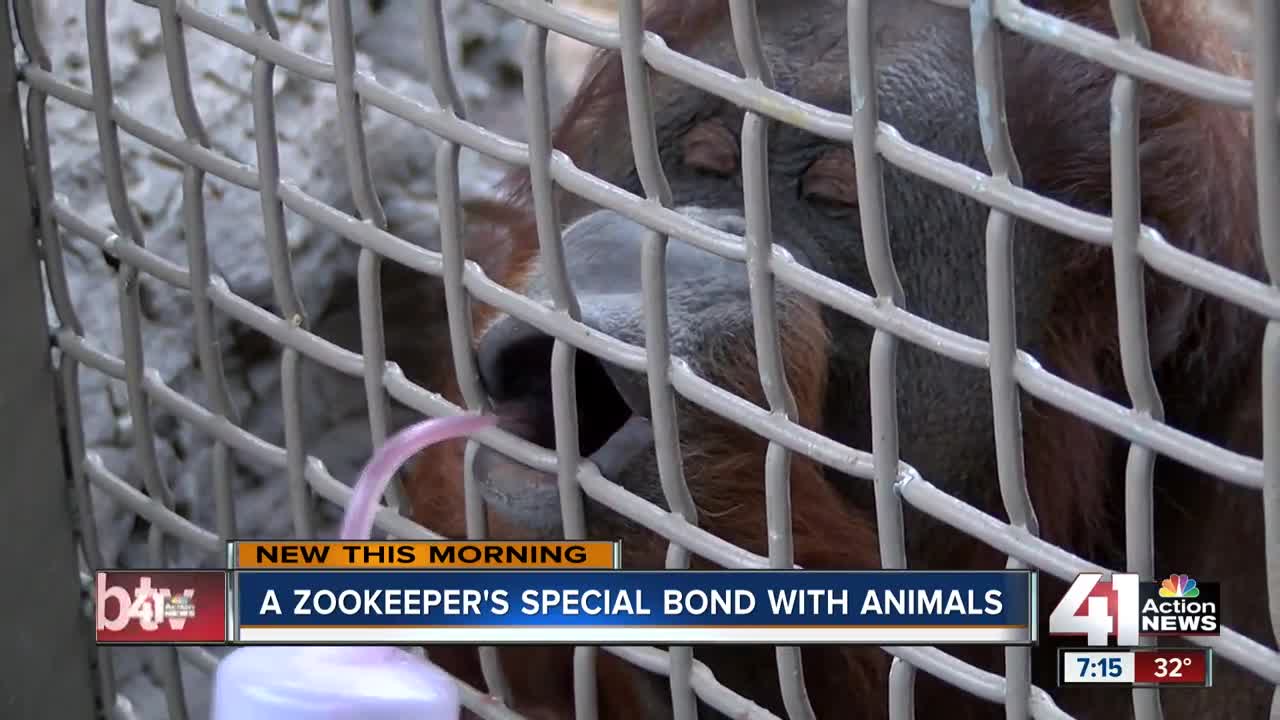 Kansas City zookeepers tell of special bonds with animals after giraffe death