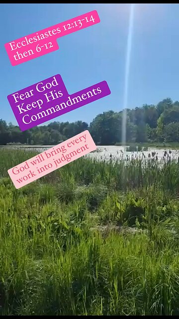 Conclusion - fear God, keep His commandments, #Ecclesiastes 12 #Commandments #God #Jesus #shorts