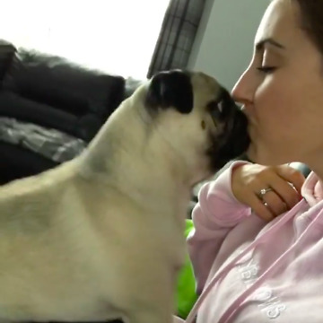 Dogs show off new kissing trick