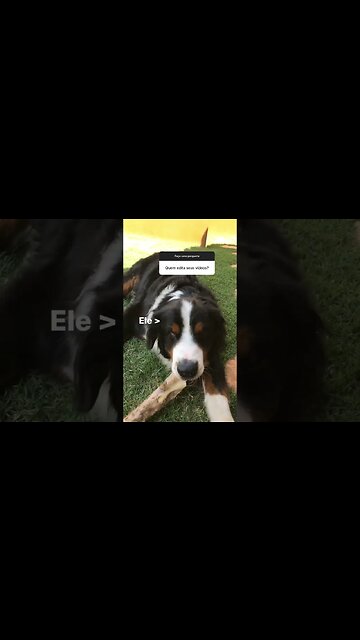 Quem edita meus vídeos? #shorts