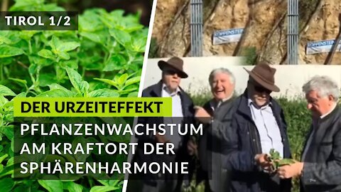 Hier ist der Beweis! Positive Wirkung der Sphärenharmonieanlage auf die Natur😍 (Seht selbst!🤩)