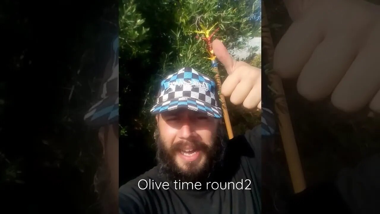 Just Pipes Round olive time