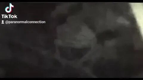 Something in the trees