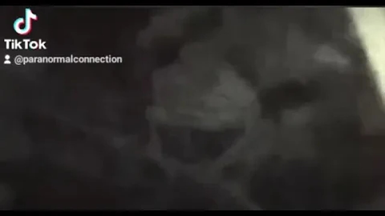 Something in the trees