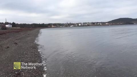 Waves lapping onshore on an overcast day