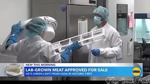 Lab grown chicken approved for USA