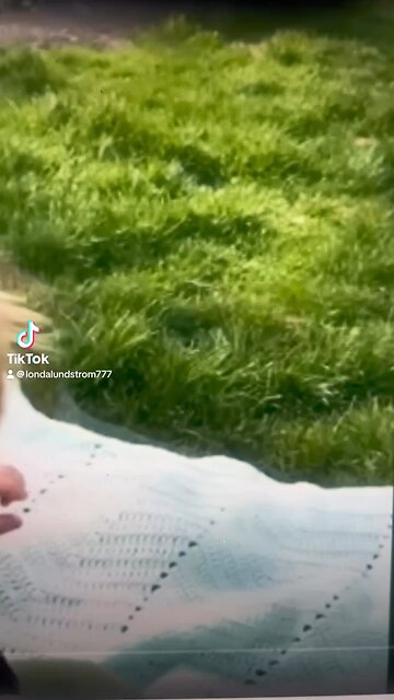 You Have To Watch This! 😍