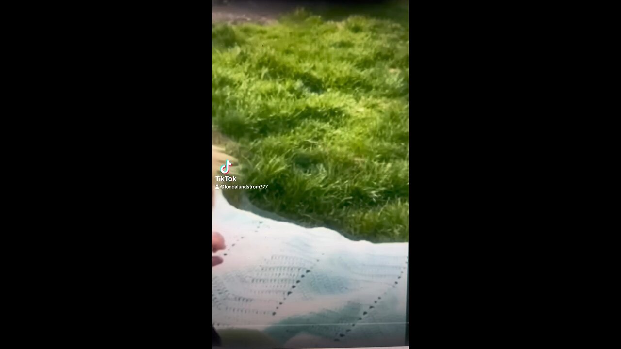 You Have To Watch This! 😍