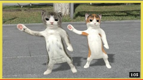 Dancing cats