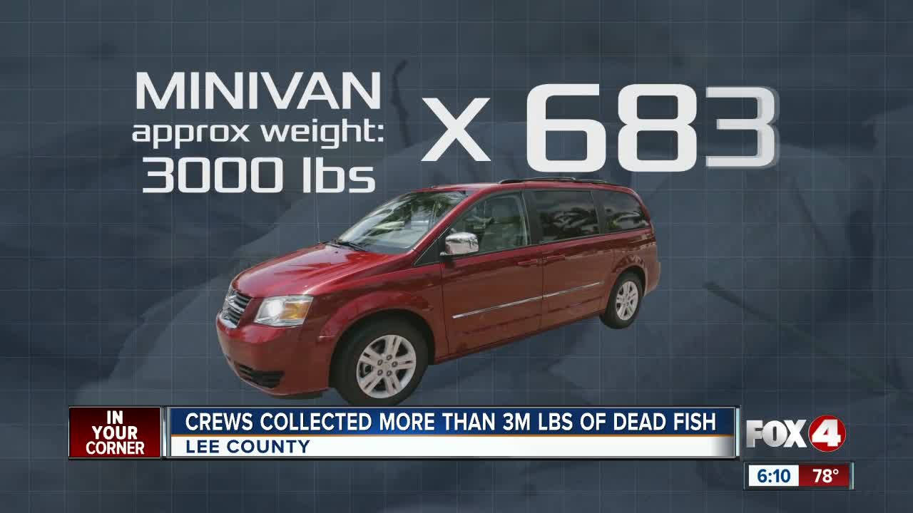 Over 3 million pounds of dead fish cleaned up from Lee County waters