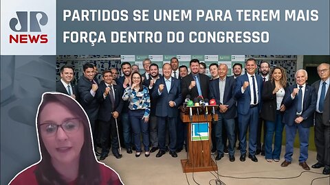 Por que partidos políticos estão se unindo? Renata Abreu responde