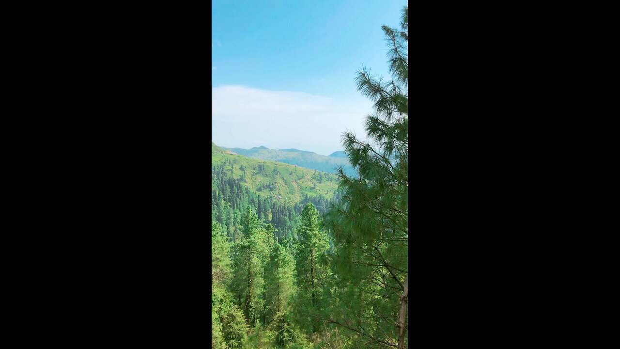 kashmir